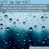 how raindrops are formed wtf fun facts