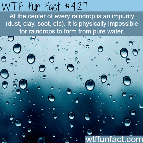 How raindrops are formed -  WTF fun facts