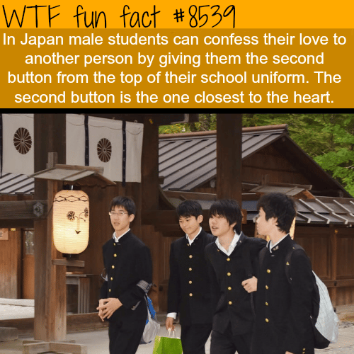 How some Japanese students confess their love - WTF fun facts