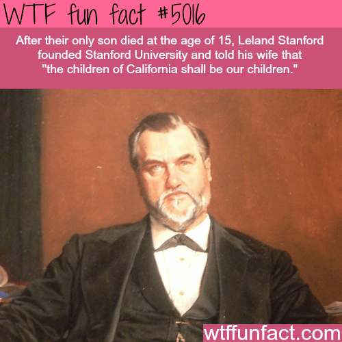 How Stanford University was founded - WTF fun facts