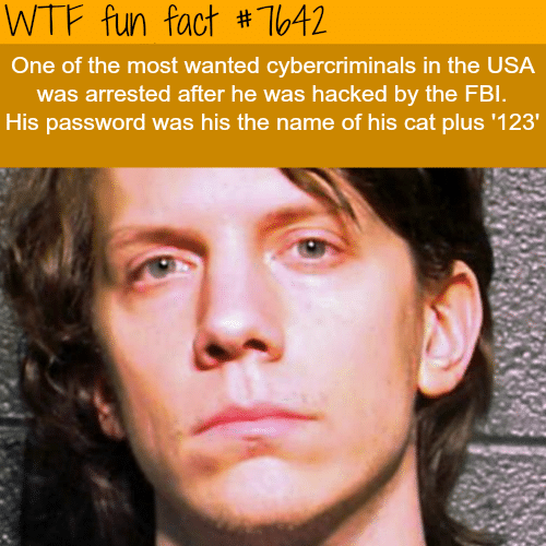How the FBI hacked the most wanted hacker - WTF FUN FACTS