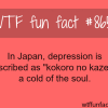 how the japanese describe depression wtf fun