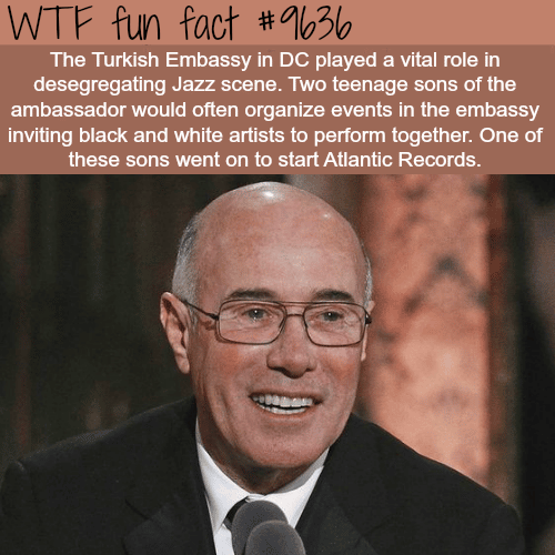 How the Turkish Embassy helped with desegregation - WTF fun fact