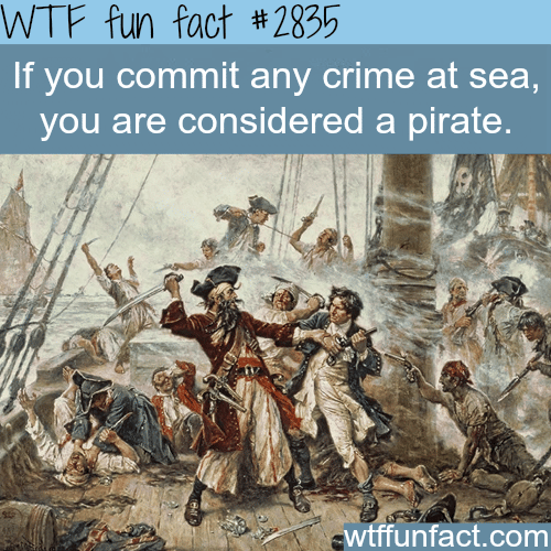 How to become a pirate -  WTF fun facts