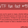 how to calm yourself down wtf fun facts