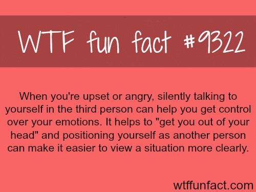 How to calm yourself down - WTF fun facts