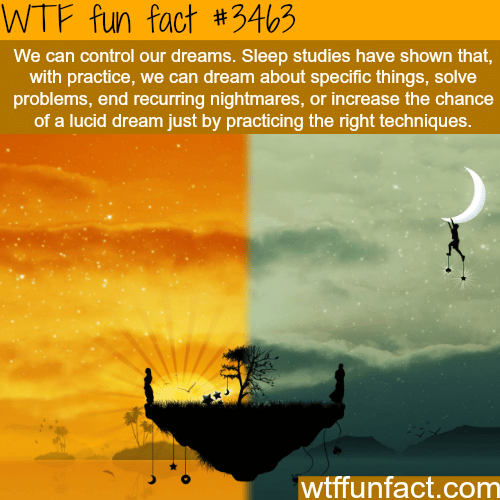 How to control your dreams -  WTF fun facts