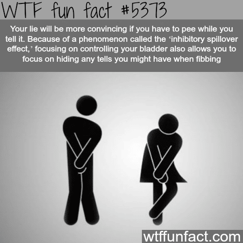 How to convince people with your lie - WTF fun facts