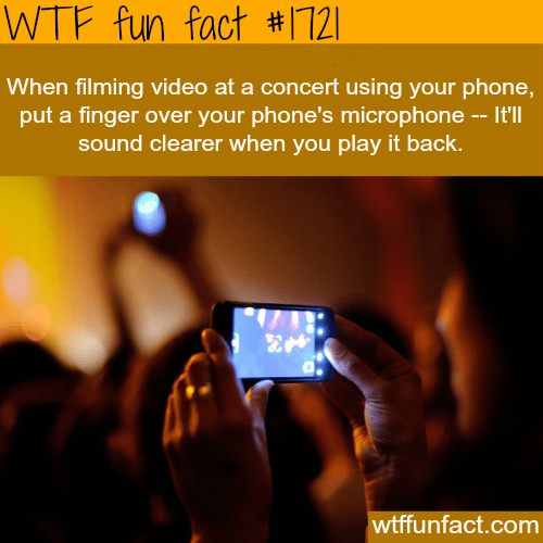 How to film with a clear sound in concert useing your phone - WTF fun facts