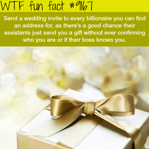 How to get gifts for your wedding - WTF Fun Facts