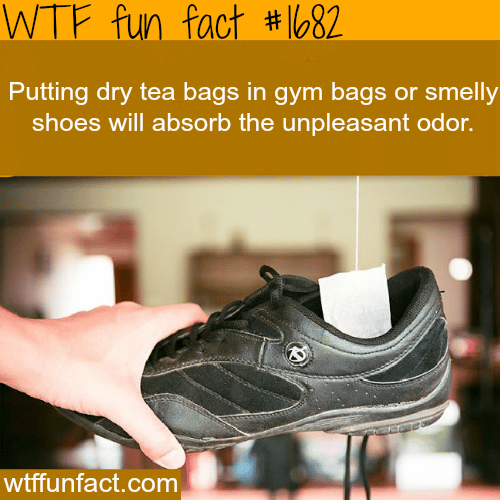 How to get rid of unpleasant odor in shoes - WTF fun facts