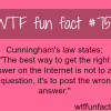 how to get the right answer on the internet wtf