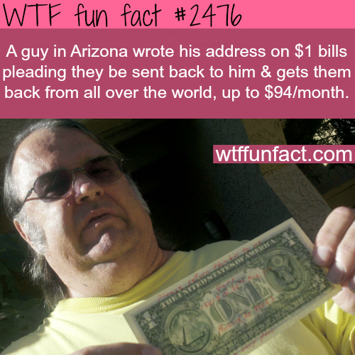 How to get your money back - WTF fun facts