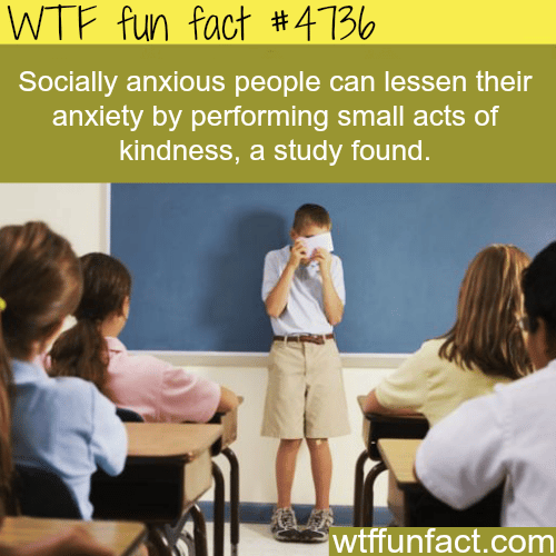 How to help lesson your social anxiety - WTF fun facts