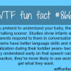 how to help your baby talk early wtf fun facts