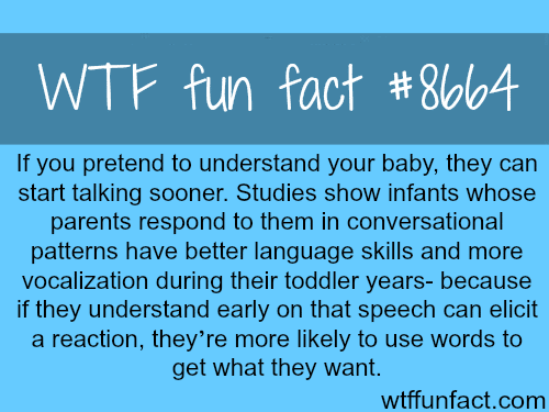 How to help your baby talk early - WTF fun facts