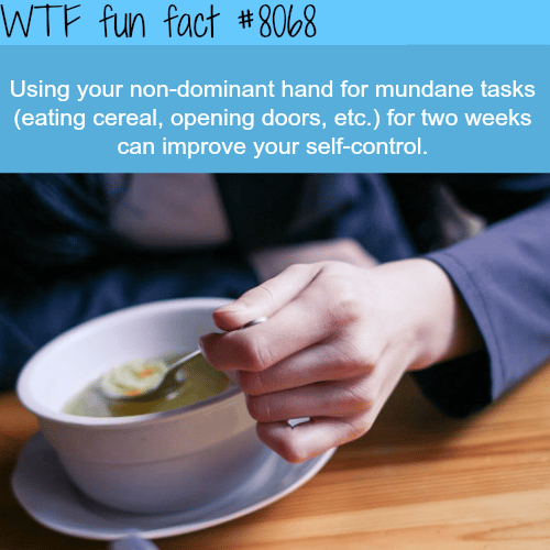 How to improve your self-control - WTF fun fact
