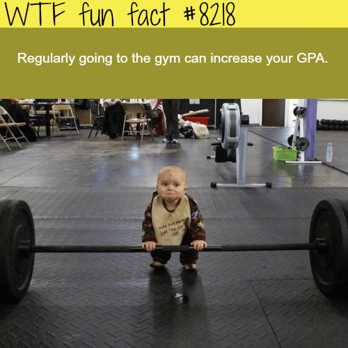 How to increase your GPA - WTF fun facts