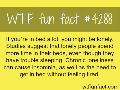 How to know if you are lonely -  WTF fun facts