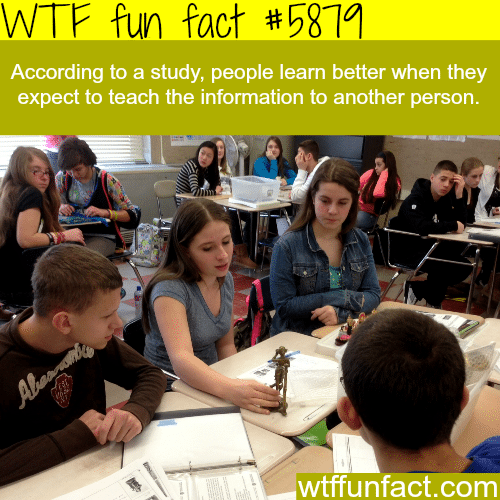 How to learn better - WTF fun facts