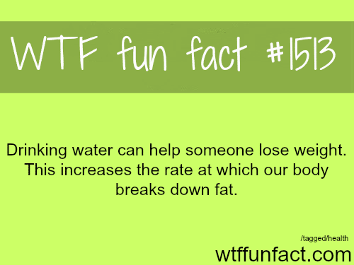 WTF FACT- big step to lose weight: DRINK A LOT OF WATER. 