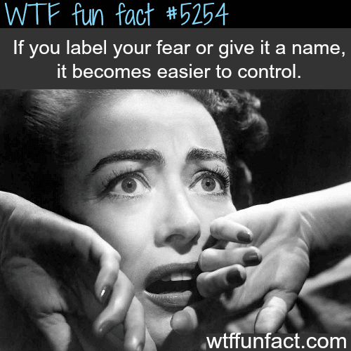 How to overcome and control your fears - WTF fun facts