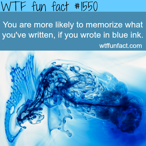 How to remmeber what you write - wtf fun facts