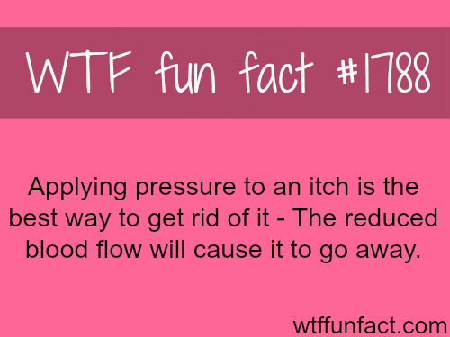 How to stop an itch