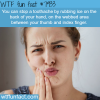 how to stop toothache wtf fun facts