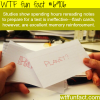 how to study in for a test wtf fun fact