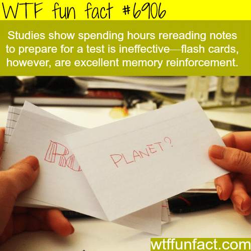 How to study in for a test - WTF fun fact
