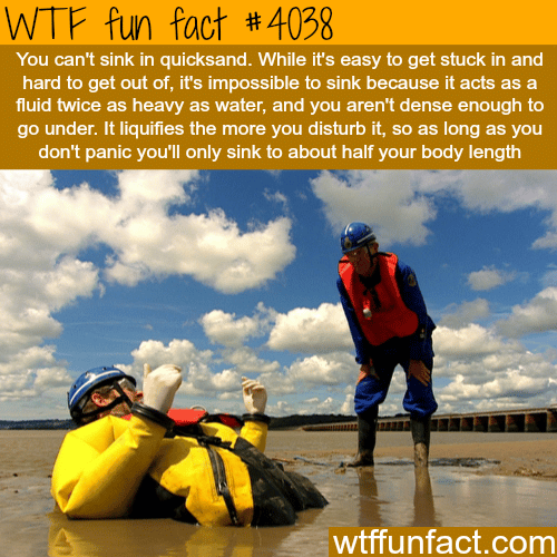 How to survive sinking in a quicksand - WTF fun facts