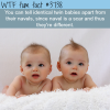 how to tell twins apart wtf fun facts