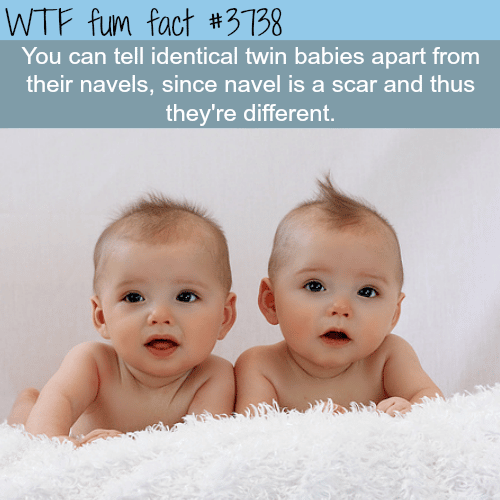 how to tell twins apart - WTF fun facts