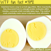 how to un boil an egg wtf fun facts