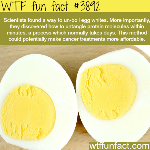 How to un-boil an egg - WTF fun facts