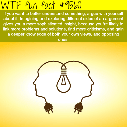How to understand something better - WTF fun fact