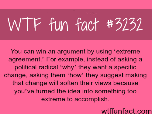 How to win in an argument -  WTF fun facts