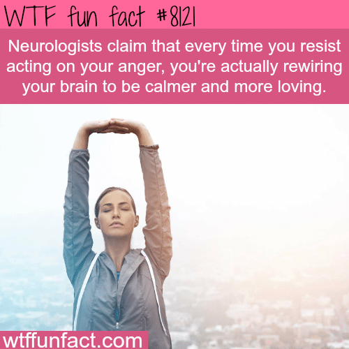 How to wire your brain to be calmer - WTF fun facts