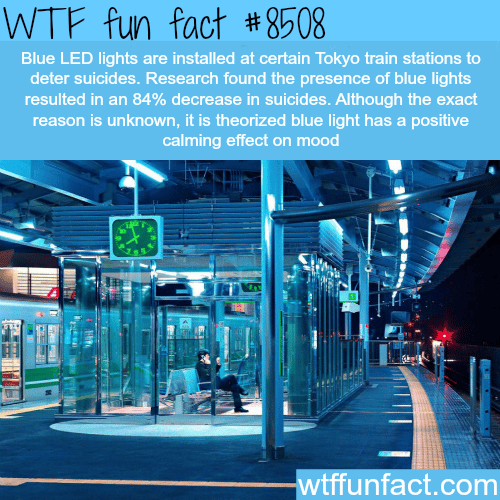 How Tokyo train stations decreased suicide rates - WTF fun facts