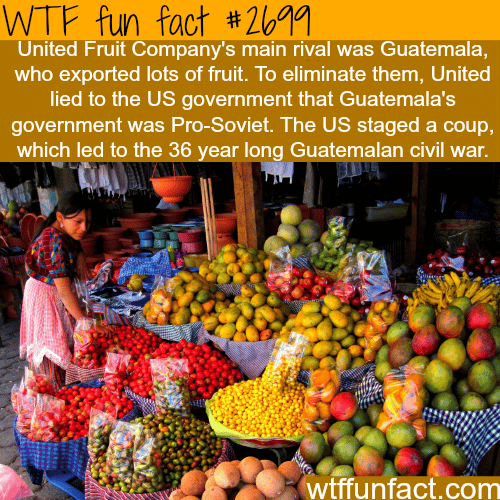 How United Fruit Company’s Started a Civil War - WTF fun facts