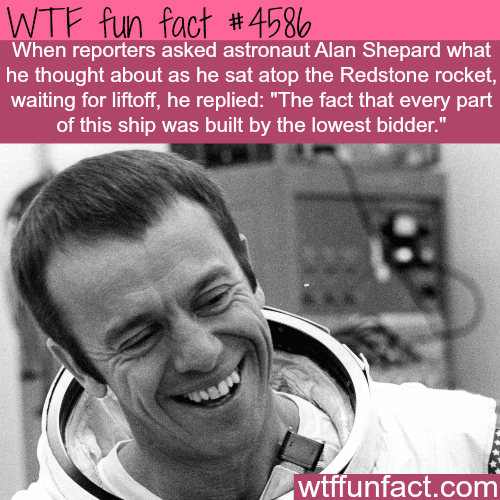 How would you feel if you were in his place? -   WTF fun facts
