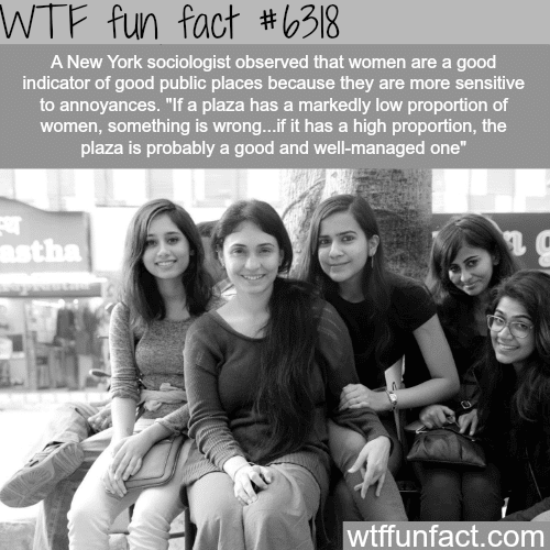 How you know if a place is good… - WTF fun facts