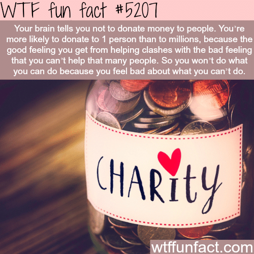 How your brain feels about donations - WTF fun facts