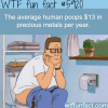 human poop contains precious metals wtf fun