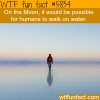 humans can walk on water on the moon wtf fun