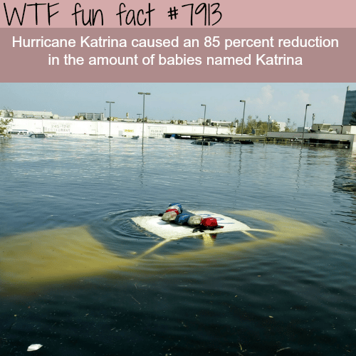 Hurricane Katrina - WTF fun facts