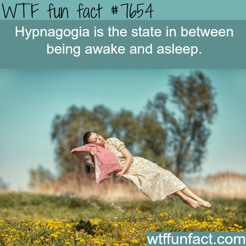 Hypnagogia - WTF fun facts 