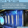 ibm s watson s learning how to swear