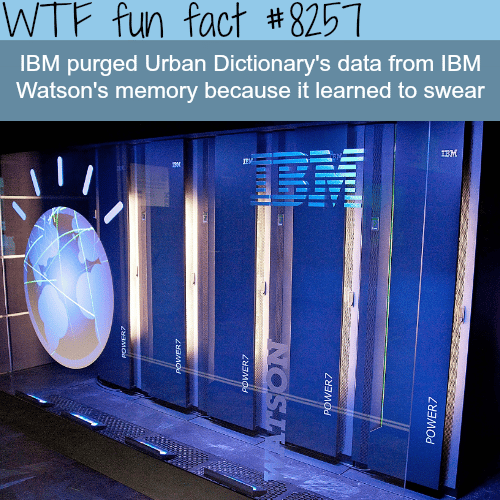 IBM Watson - WTF fun facts